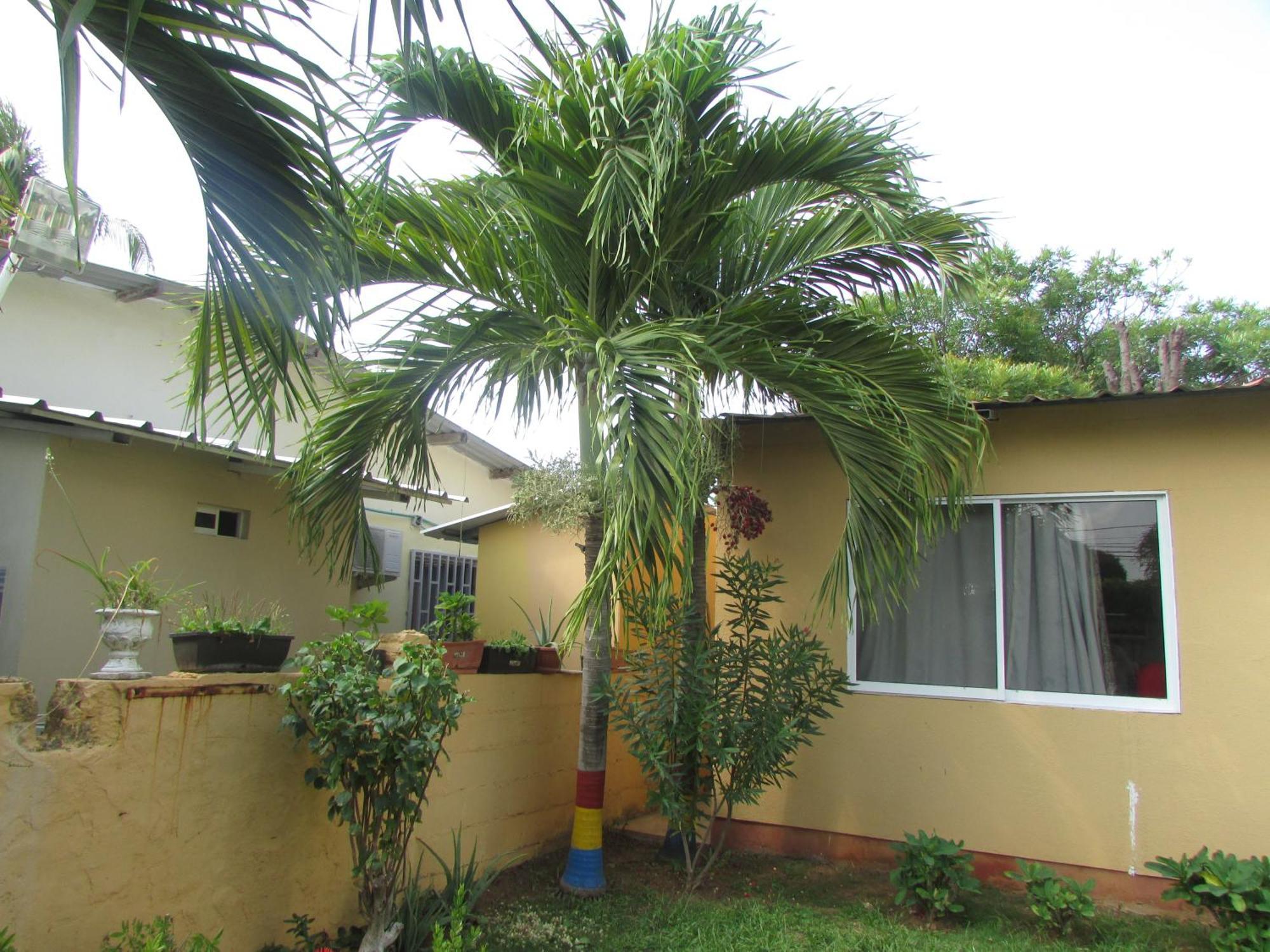 Posada Hostal Miss Marlly San Andres  Bagian luar foto